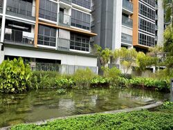 Coco Palms (D18), Condominium #463008841